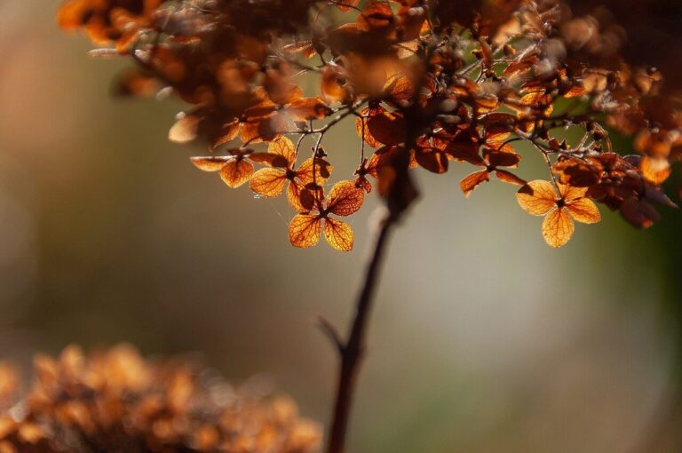 nature inspired names